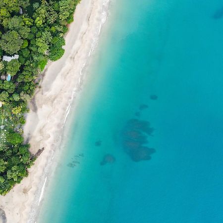 Le Cameleon Boutique Hotel Puerto Viejo de Talamanca Ngoại thất bức ảnh