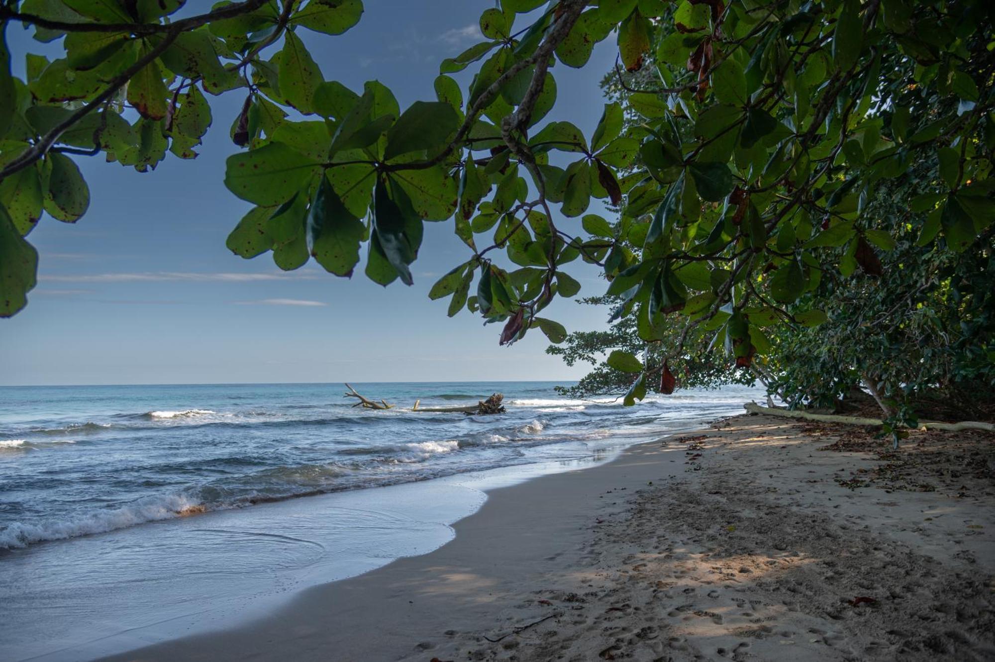 Le Cameleon Boutique Hotel Puerto Viejo de Talamanca Ngoại thất bức ảnh