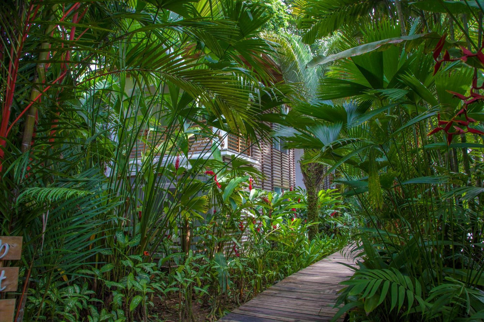 Le Cameleon Boutique Hotel Puerto Viejo de Talamanca Ngoại thất bức ảnh