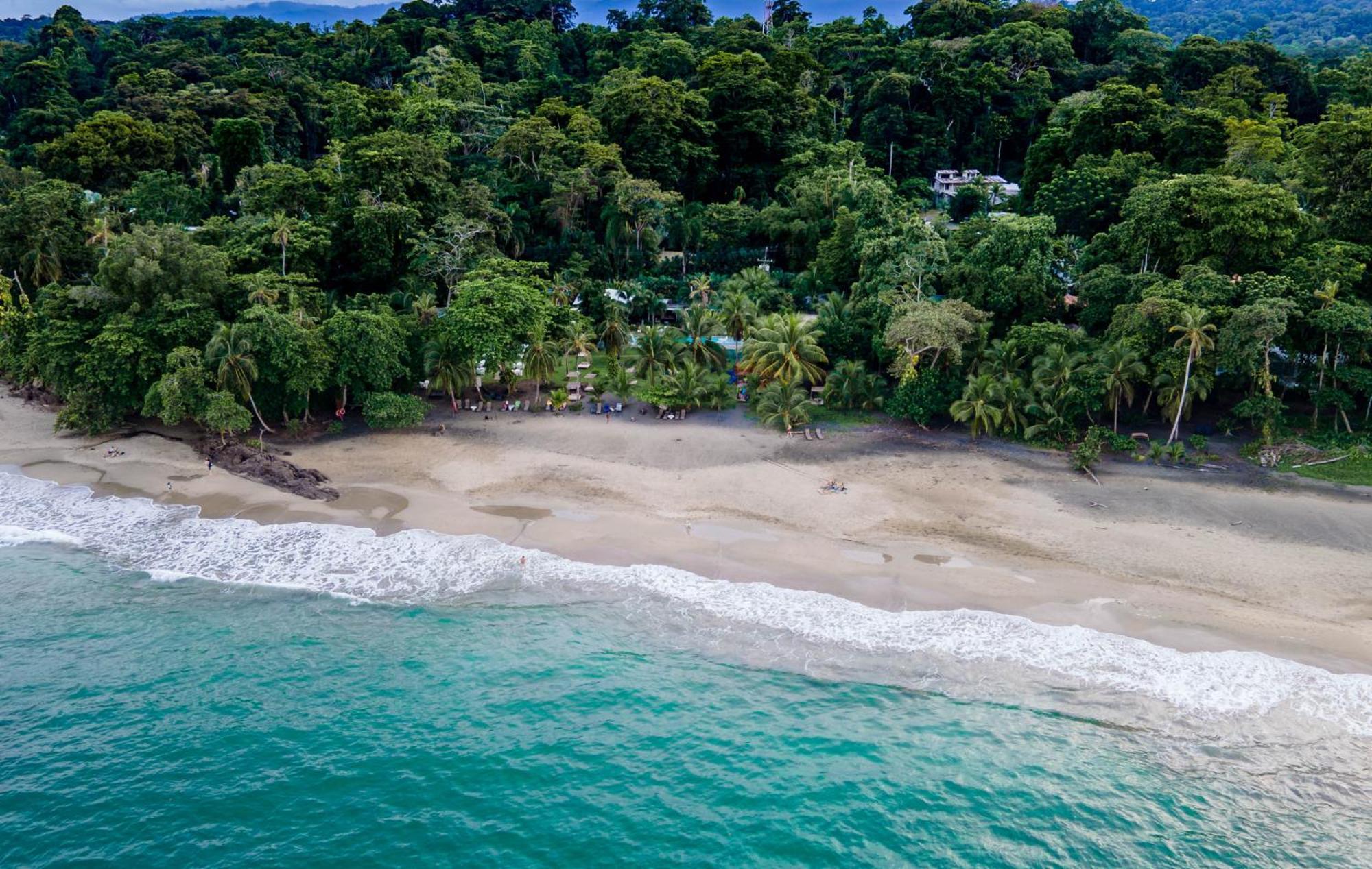 Le Cameleon Boutique Hotel Puerto Viejo de Talamanca Ngoại thất bức ảnh