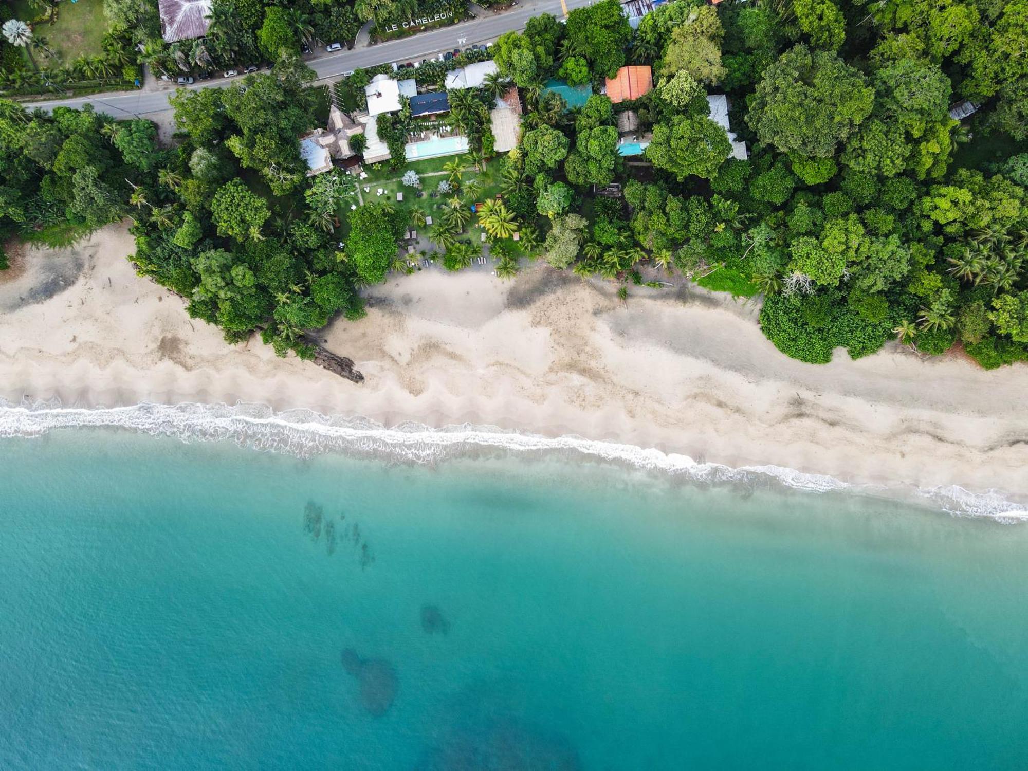Le Cameleon Boutique Hotel Puerto Viejo de Talamanca Ngoại thất bức ảnh